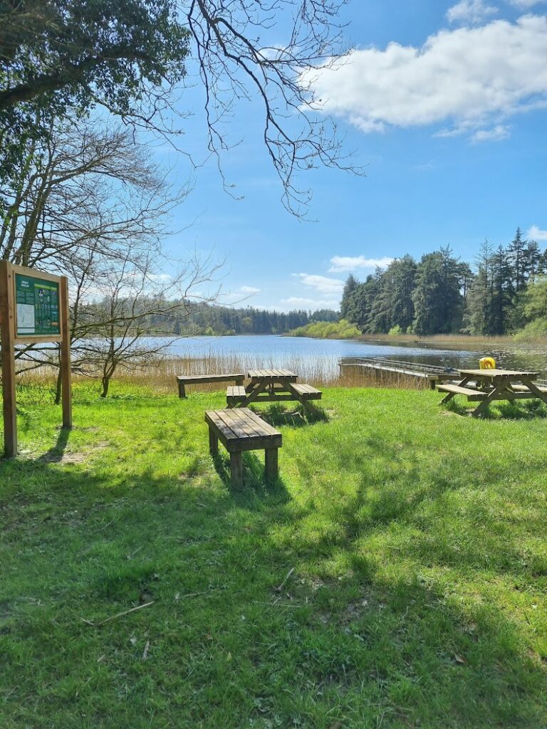 Picture of the picnic tables overlooking the Castle Lake Bailieborough