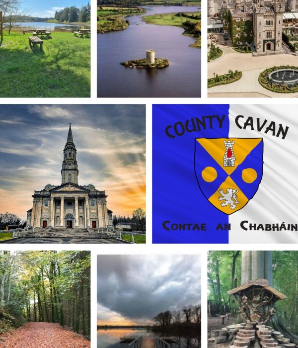 county Cavan collage